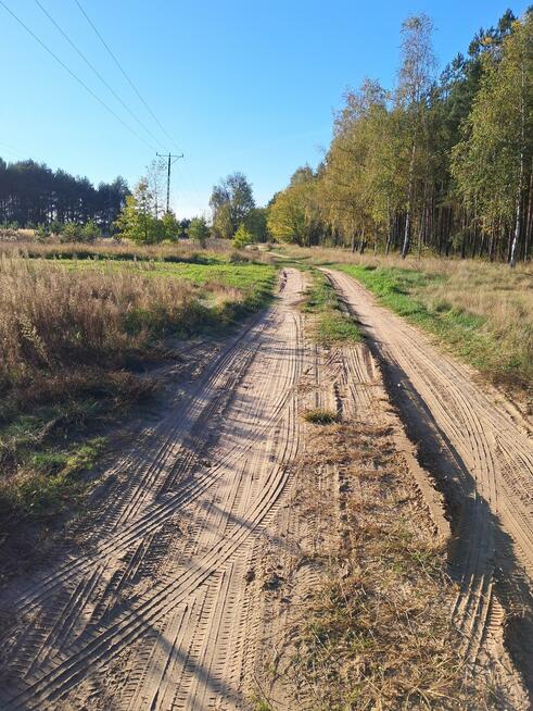 Działka rolno-budowlana Strzelczyki gm. Szamocin
