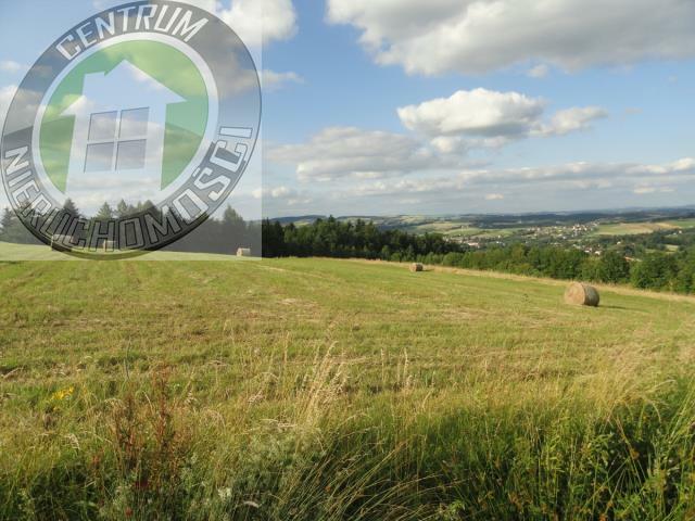 Działka budowlana Mogilno gm. Korzenna