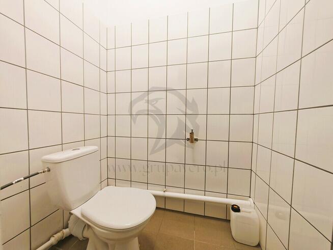 Jak Ślepej Kurze...