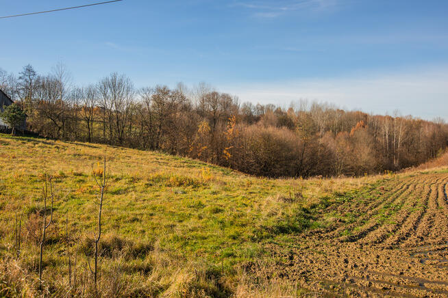 Działka rolna Kowalowa - gm. Ryglice!