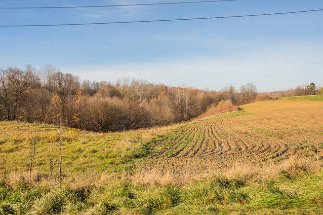 Działka rolna Kowalowa - gm. Ryglice!