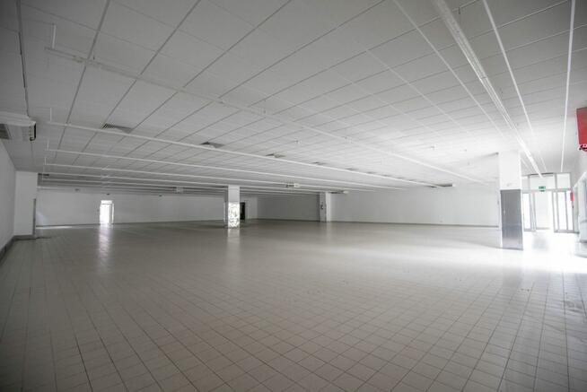 Lokal użytkowy Kraśnik,