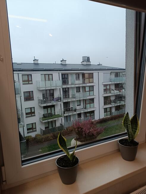 Siedlce, ul. Piotrowskiego