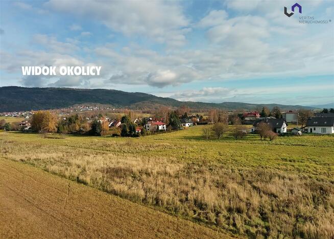 Działka usługowa Wilkowice Dworkowa, Dworkowa