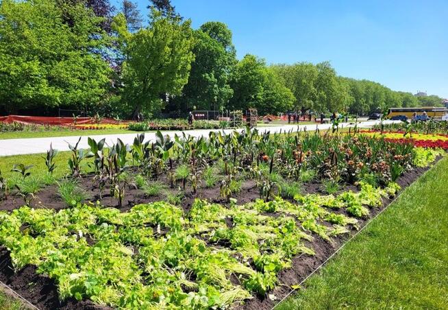 Mieszkanie 15 km Granica Niemiecka - Szczecin