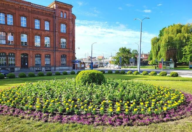 Mieszkanie 15 km Granica Niemiecka - Szczecin