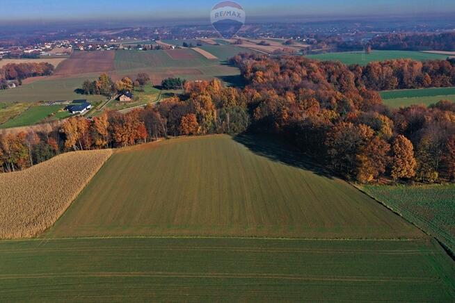 Działka rolna Witkowice