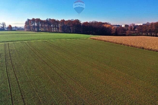 Działka rolna Witkowice