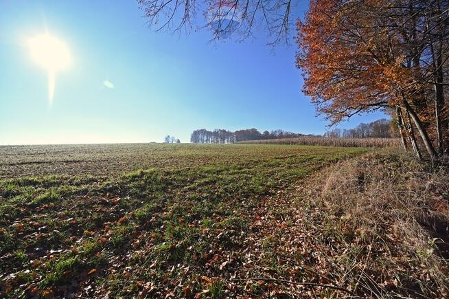 Działka rolna Witkowice