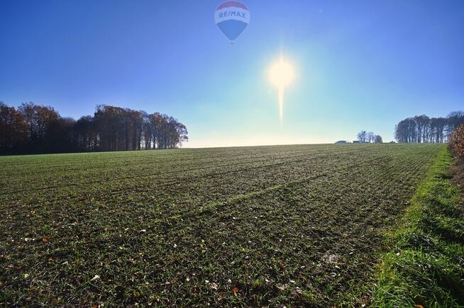 Działka rolna Witkowice