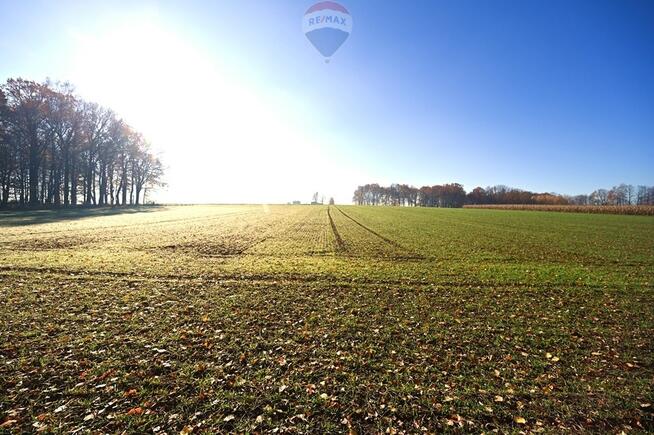 Działka rolna Witkowice