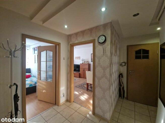 3 pokoje Stary Kraśnik od zaraz