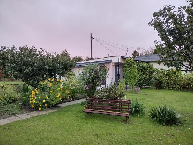 Działka ROD z domkiem 2025 – Aleksandrów