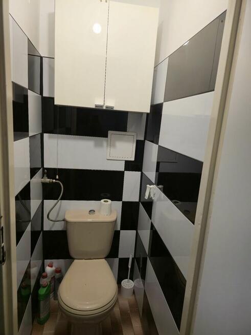 Mieszkanie do wynajecia