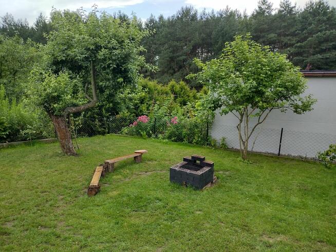 Działka ROD z domkiem 2025 – Aleksandrów