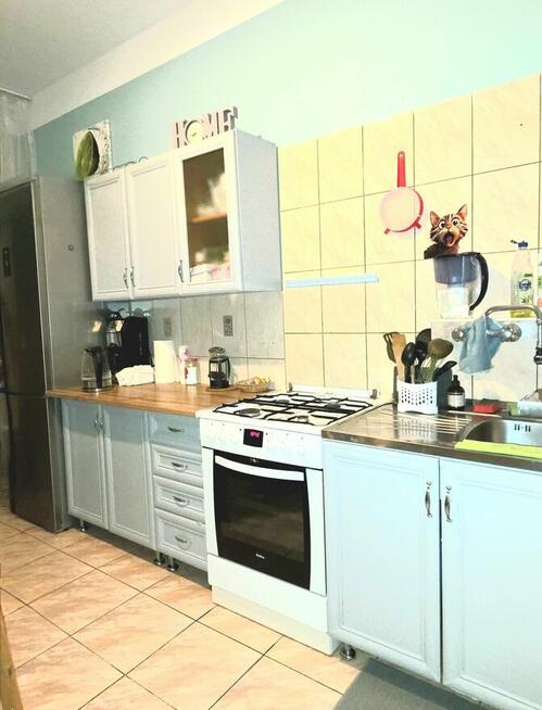 Do wynajęcia przytulny pokój w mieszkaniu 3pok, obok katedry