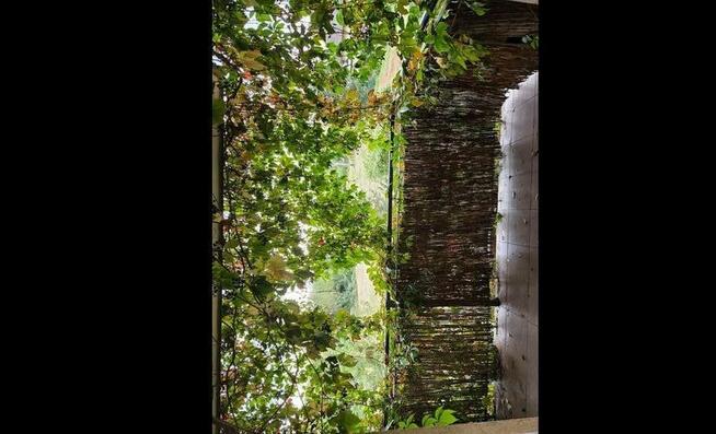 Wynajem kawalerki od grudnia ul.Gromadzka (Plaszow)