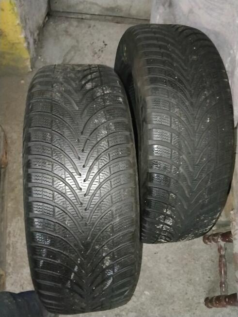 Apollo Alnec4G Winter