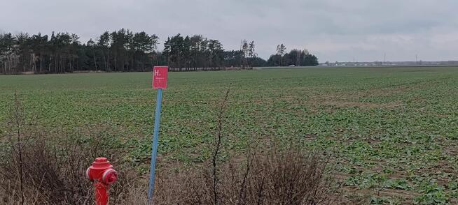 Na sprzedaż działka inwestycyjna 31500m2 w Serocku