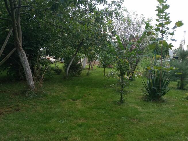 Sprzedam działkę budowlaną z pomieszczeniami gospodarczymi