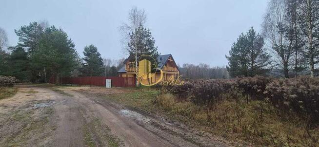 Las, przestrzeń, możliwości: Grzybowce czekają