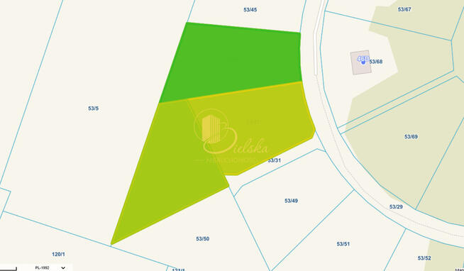Las, przestrzeń, możliwości: Grzybowce czekają