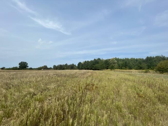 Działka budowlana Wólka Bałtowska gm. Bałtów,