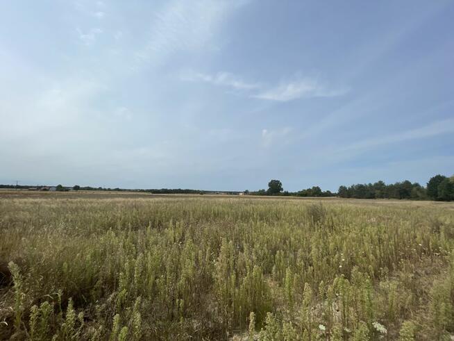 Działka budowlana Wólka Bałtowska gm. Bałtów,