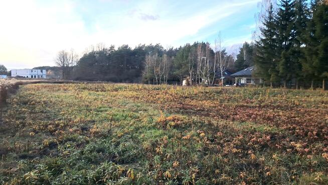 Działka budowlana Wola Karczewska gm. Wiązowna