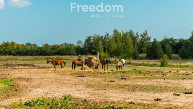 Kleszczewo- Twój przyszły adres biznesowy.