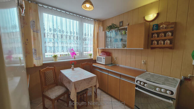 Do wynajęcia mieszkanie w Ząbkowicach Śląskich