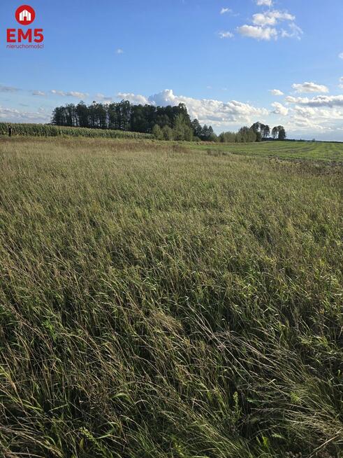 Działka rolno-budowlana Pajewo gm. Tykocin Pajewo
