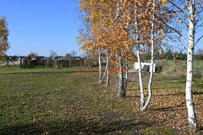 Schodnia, Teren inwestycyjny przy DK46 - 64 ar