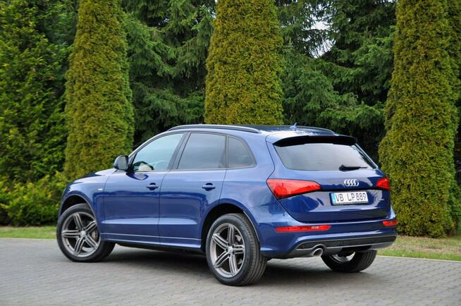 Audi Q5 2.0TDI(190KM)*Lift*S-Line*RadarACC*Xenon*Led*Navi*El.Klapa*Alu20"ASO