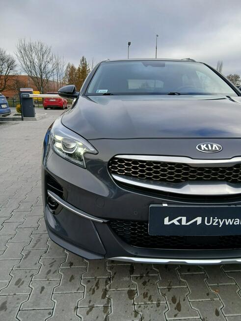 Kia XCeed 1.6 T-GDI 204KM 7DCT XL, JBL Panorama Navi LED SalonPL SerwisASO