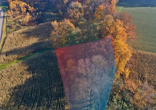 Bajkowa Działka w pięknym otoczeniu