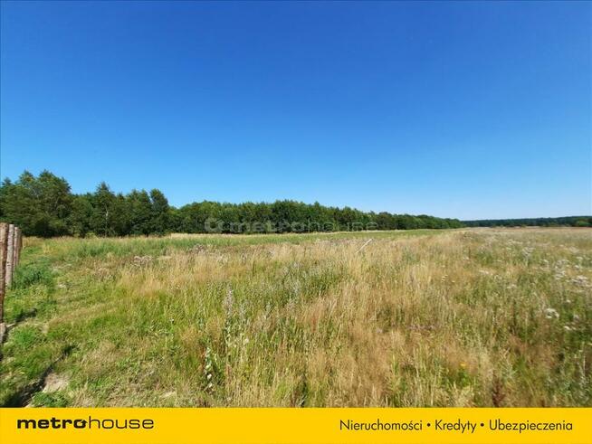 Działka 11 a, blisko jeziora Jamno.