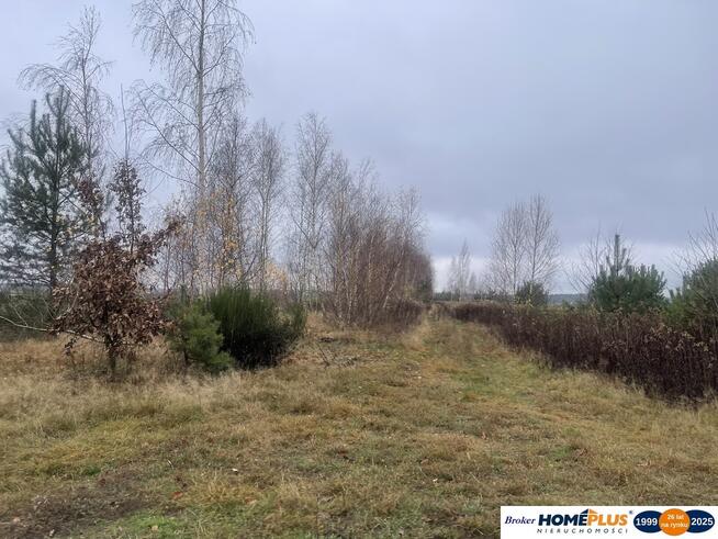 Działka inwestycyjna 1,8 ha przy S8 produkcja