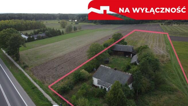 Siedlisko na dużej działce w Dobrucie gm. Orońsko.