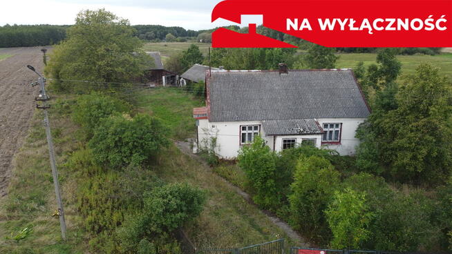 Siedlisko na dużej działce w Dobrucie gm. Orońsko.