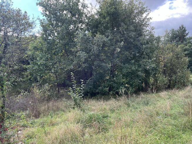 Działka 1441 m2 prze drodze 747 w Lipie Miklas.