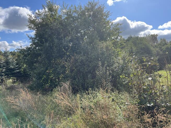 Działka 1441 m2 prze drodze 747 w Lipie Miklas.