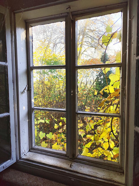 Sprzedam siedlisko w gminie Garbów