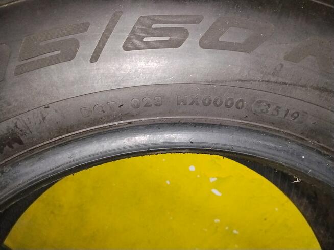 Apollo Alnec4G Winter