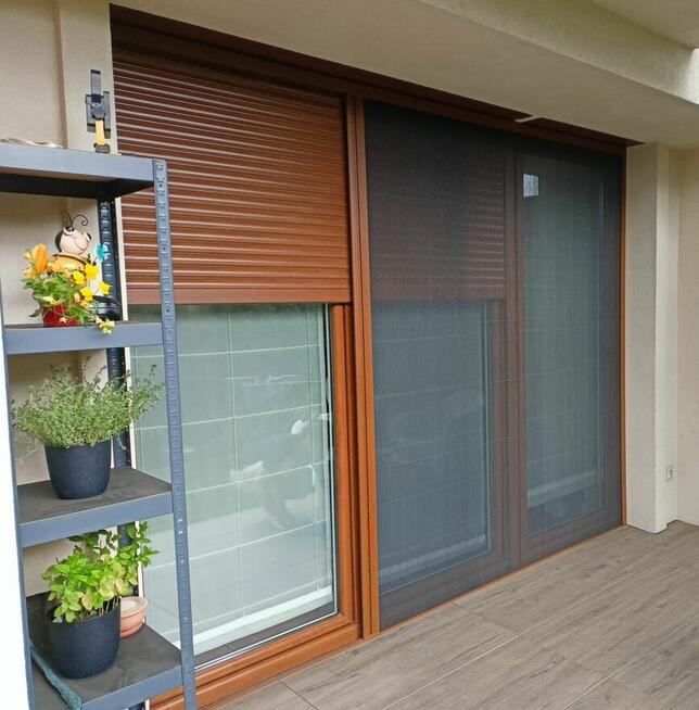 Rolety, plisy,żaluzje, moskitiery-szybkie terminy