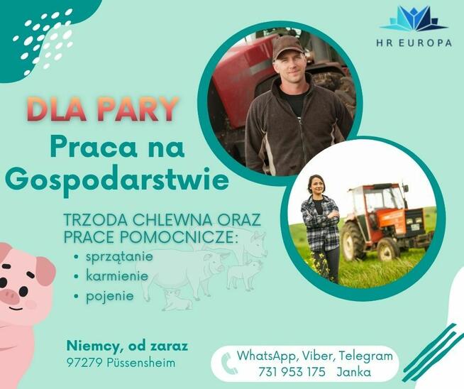 Praca na gospodarstwie dla pary