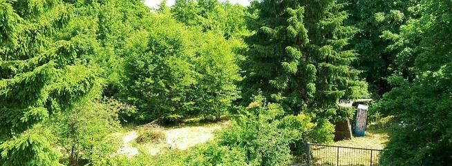 Działka przy Wyspie Wikingów