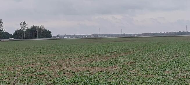 Na sprzedaż działka inwestycyjna 31500m2 w Serocku