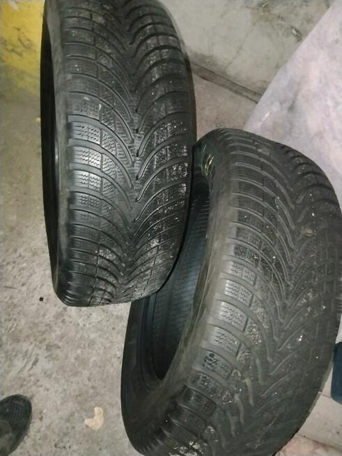 Apollo Alnec4G Winter