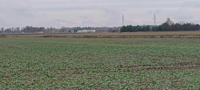 Na sprzedaż działka inwestycyjna 31500m2 w Serocku